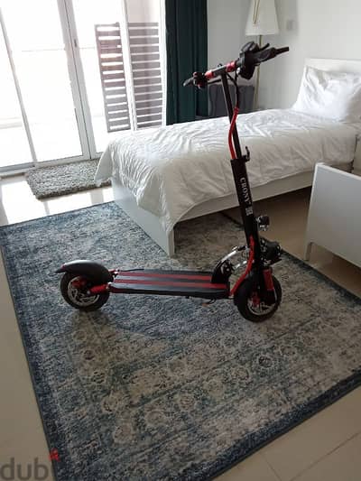 Crony v10 scooter