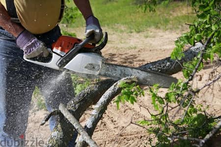 Plants and Tree cutting, Rubbish Cleaning, Artificial grass work