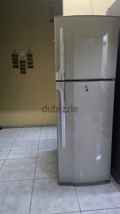 Toshiba Fridge 320L