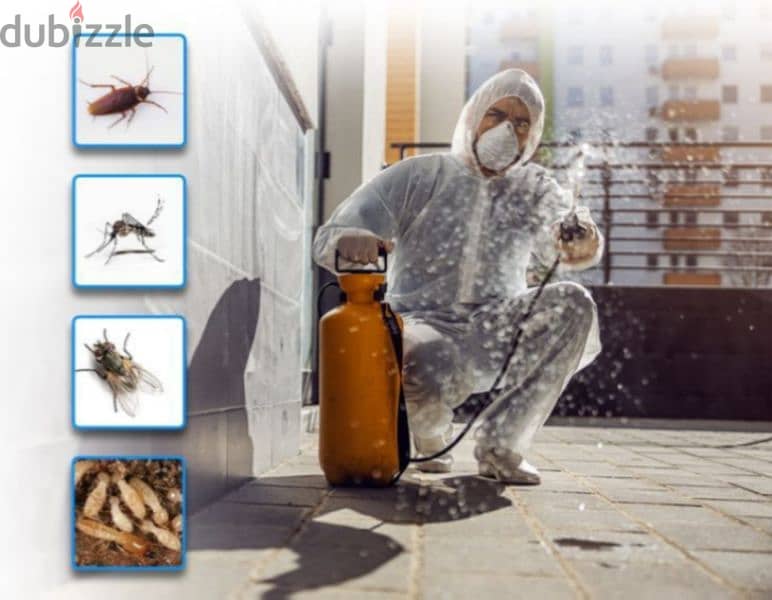 Pest control services nearby areas. 2