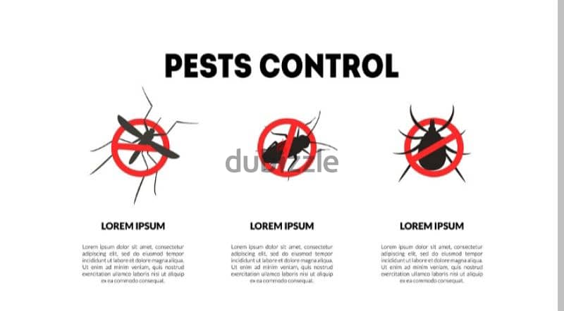 Pest control services nearby areas. 3