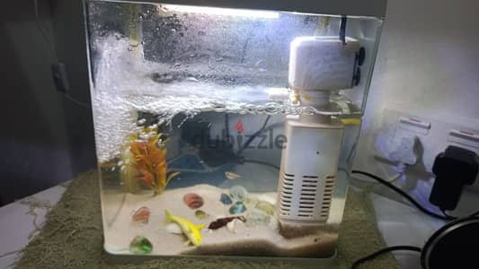 aquarium fish tank with filter