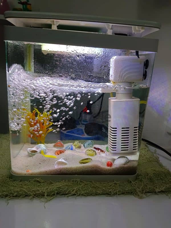 fish tank with filter 1