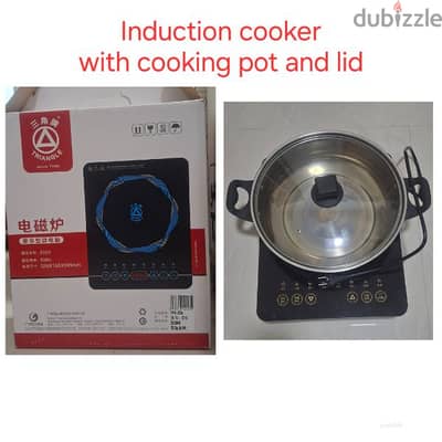 Induction cooker