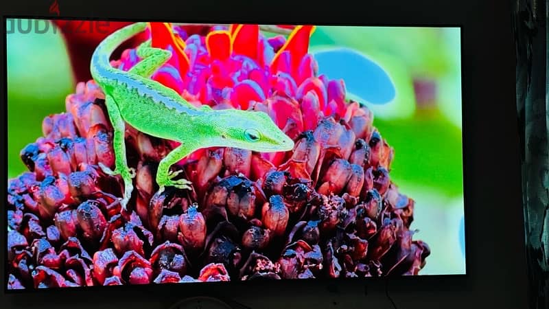 تلفاز ال جي 65 بوصه جودة 4K و HD جديد Tv LG 65 inch 4K HD 4