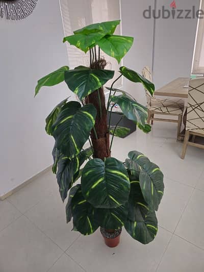 indoor artificial plant