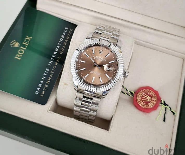 Rolex Watches 2