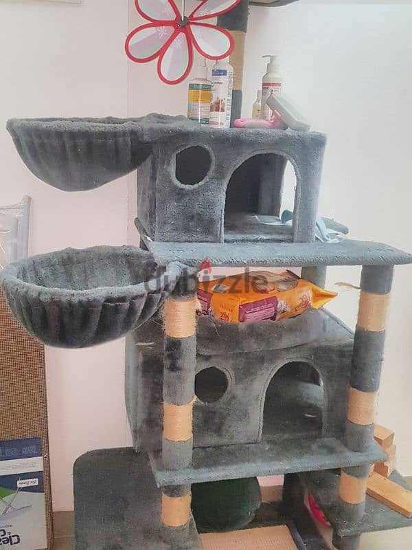 cat and dog house 1