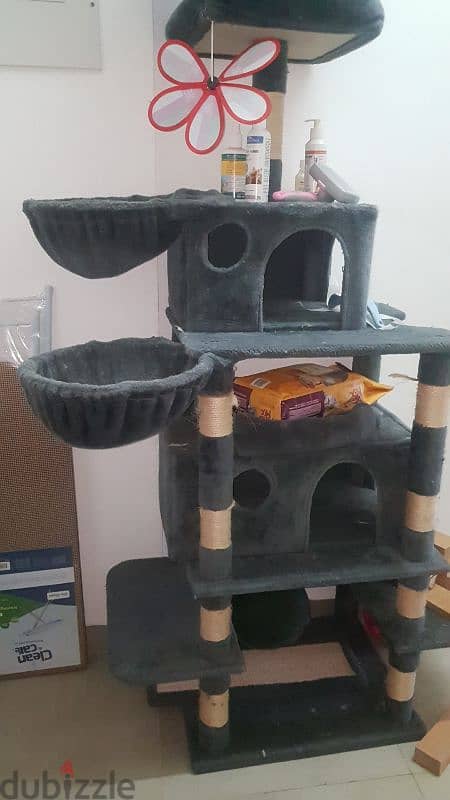 cat and dog house 3