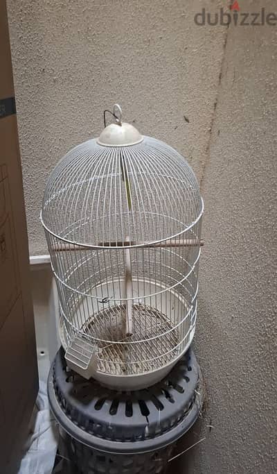 Bird cage