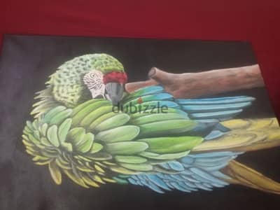 parrot professionally painted picture high quality