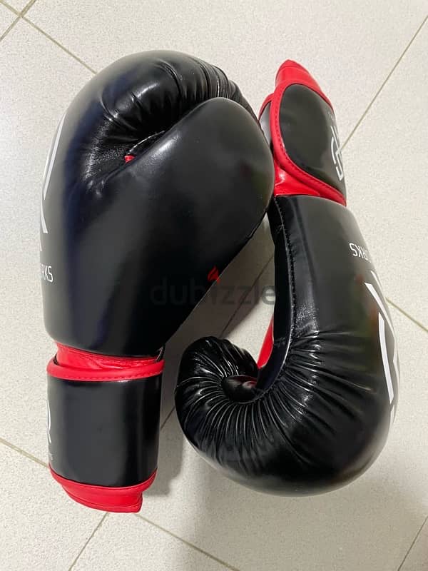 boxing gloves 2