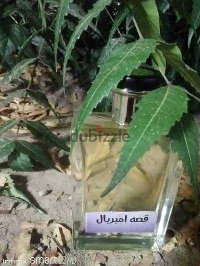 عطور مركزه