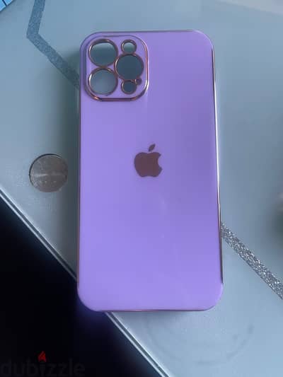 iPhone12 Pro Max Cover