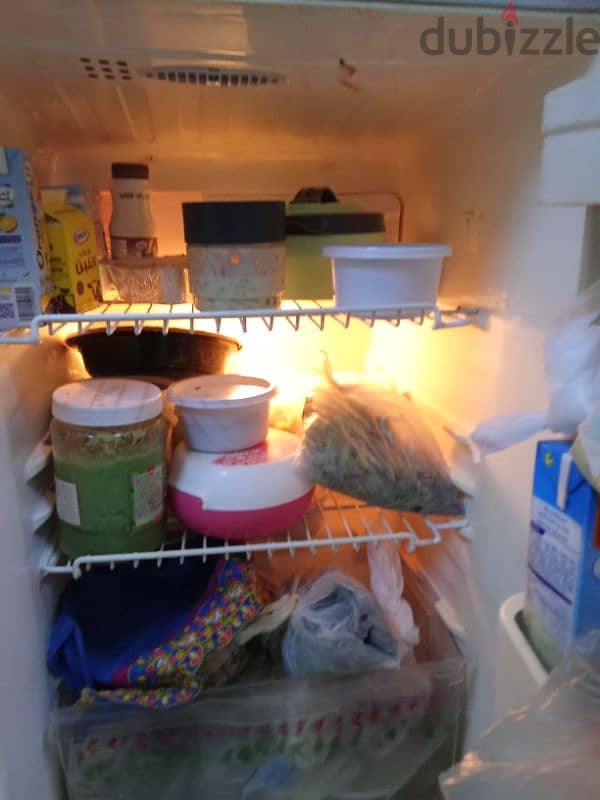 refrigerator 1