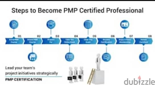 PMP, PMI- SP,Primavera -P6 private tutor available