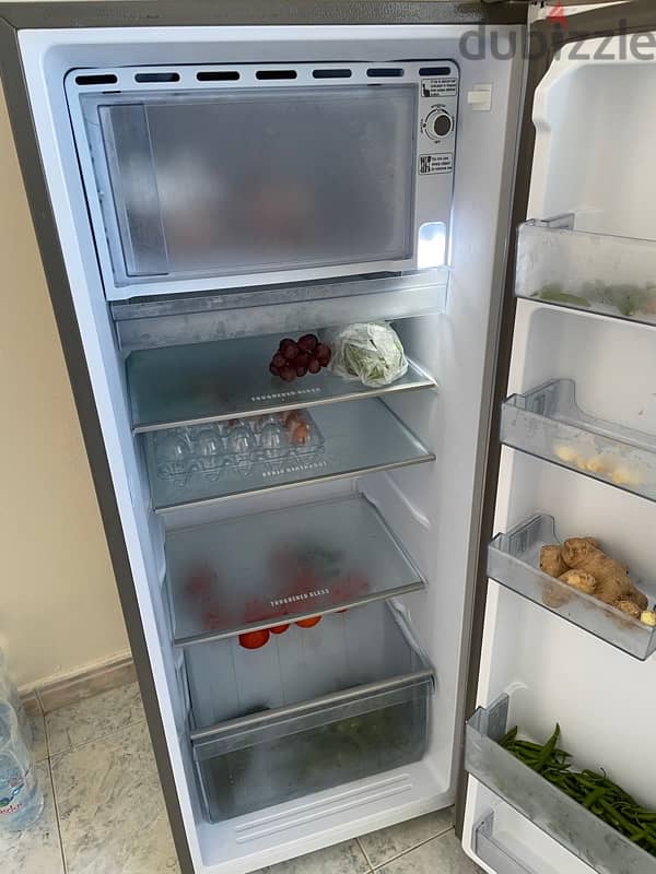 Miele Mastercool 240L refrigerator 1