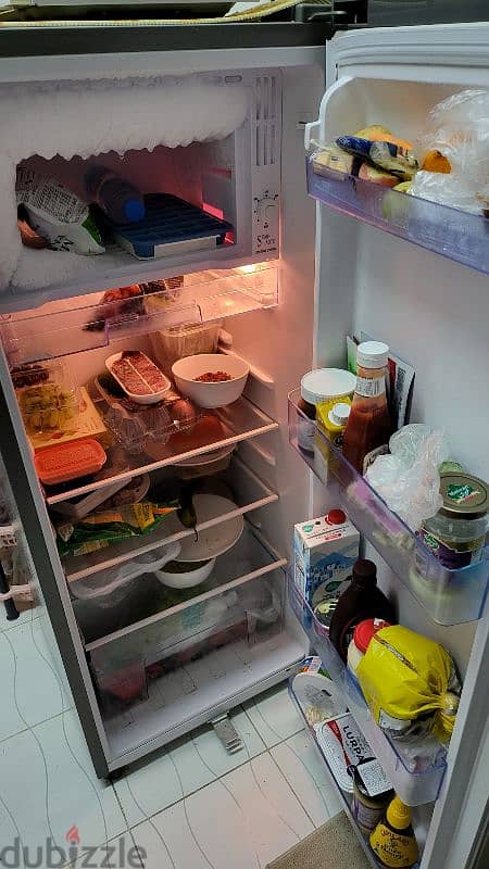 refrigerator 1