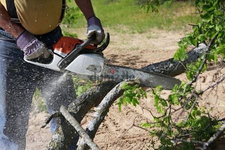 Plants and Tree cutting, Rubbish Cleaning, Artificial grass work