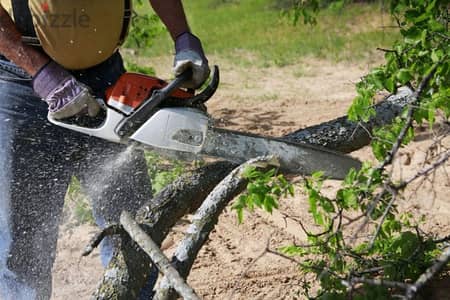 Plants and Tree cutting, Rubbish Cleaning, Artificial grass work