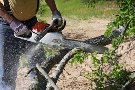 Plants and Tree-cutting Shaping Rubbish Cleaning Service