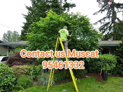 Plants and Trees Cutting Gardening Landscape Maintenance Garden Servic