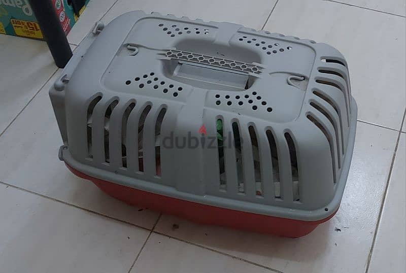 cat house 1