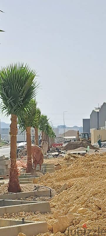 Landscaping and irrigation work 13