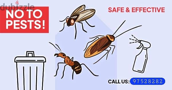 Pest Control Treatment/ Insects Bedbugs Bedbugs Cockroaches Medicine 2