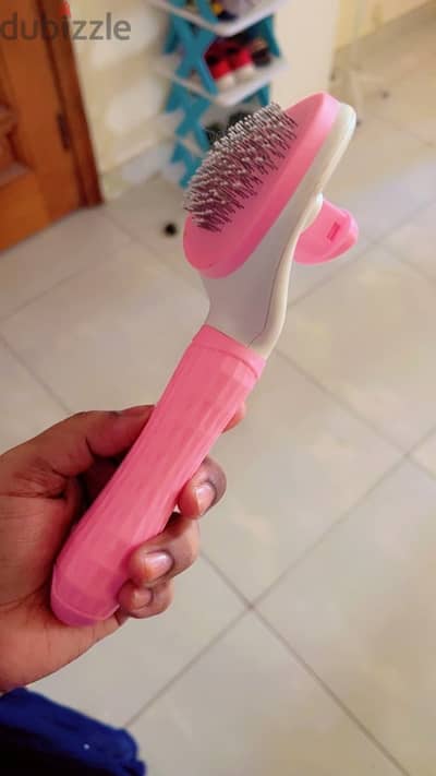pet accessories