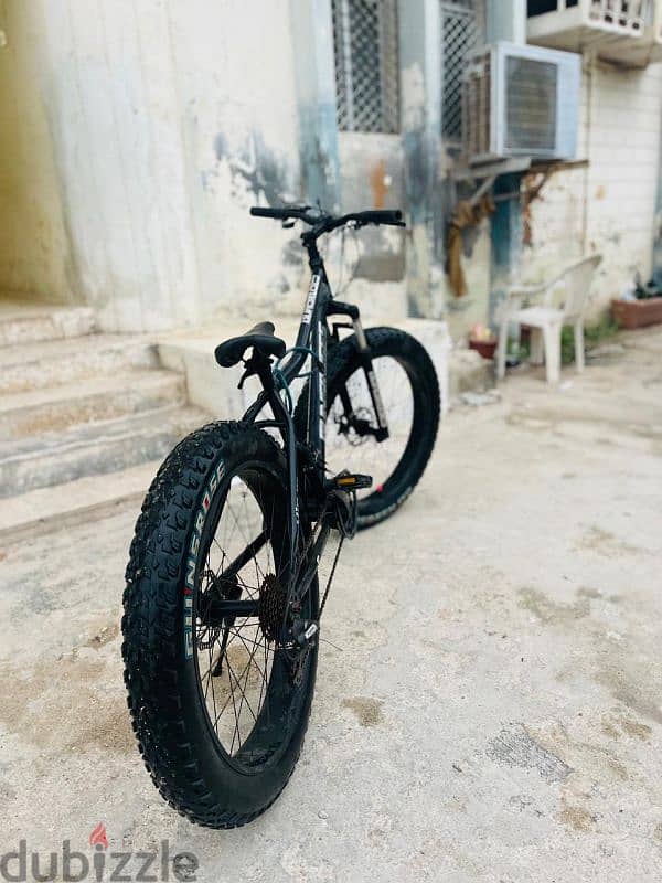 Fat tire cycle 1