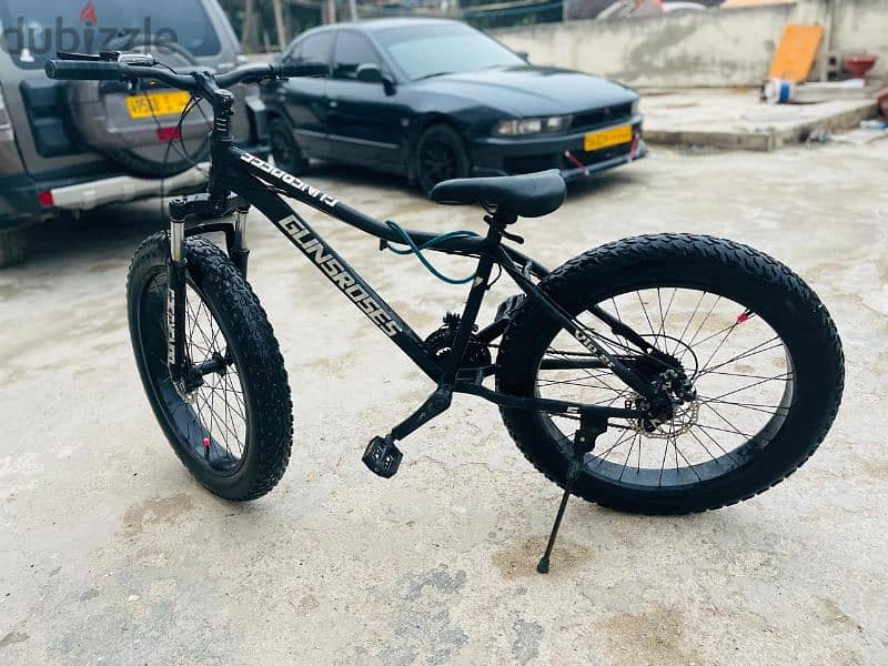 Fat tire cycle 2