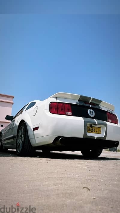 Ford Shelby 2007