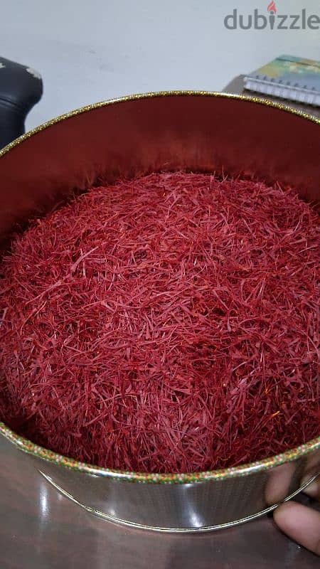 سوبر ناجين وبوشالي 2