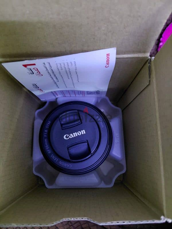 Canon RF 50mm f1.8 Lens 3