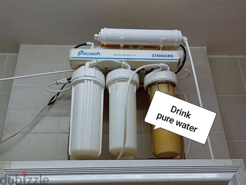 ladies Bed space, 10+ facility, 6