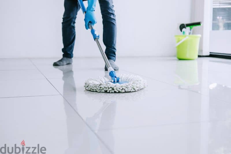 cleaning service 2