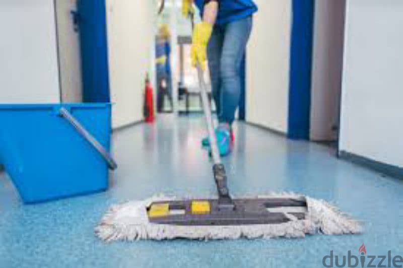cleaning service 7