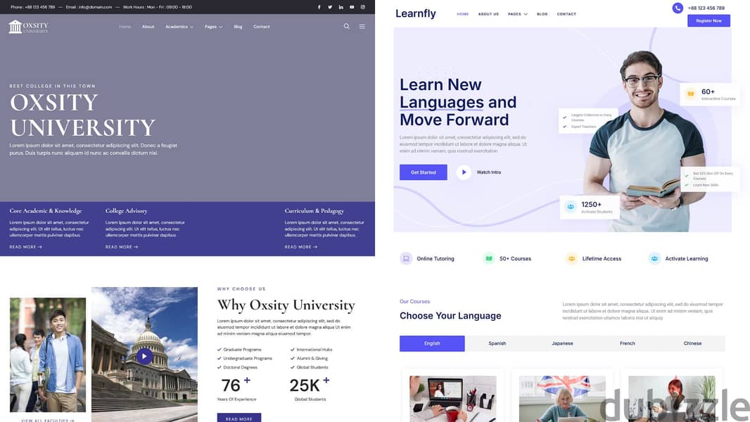Website Development 7