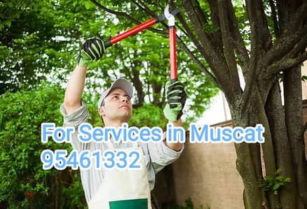 Muscat Gardening Plants and Tree Cutting Artificial grass Stones servi