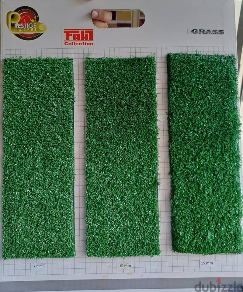 Party Rental - Carpet 3