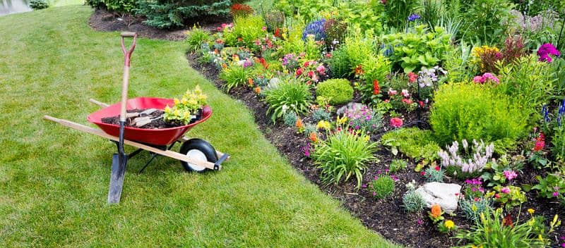 Garden work 1