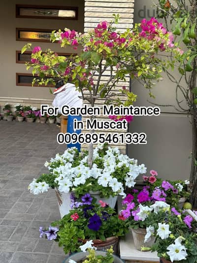 Gardening Lawnmower Plants/Trees Trimming Turf/Stones work Maintenance