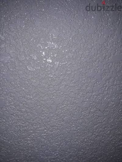 we are doing paint work