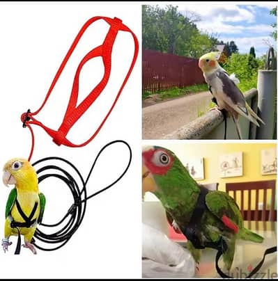 BIRD HARNESS