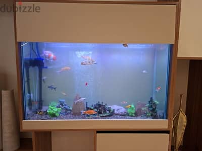 we making any size aquarium with full settings watsapp me 95286803
