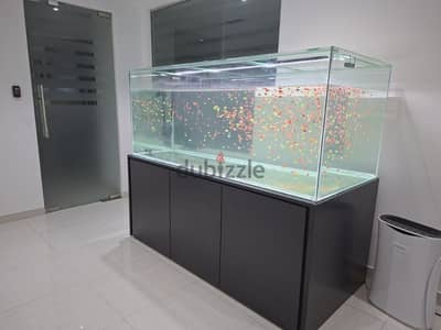 we making any size aquariums with full settings