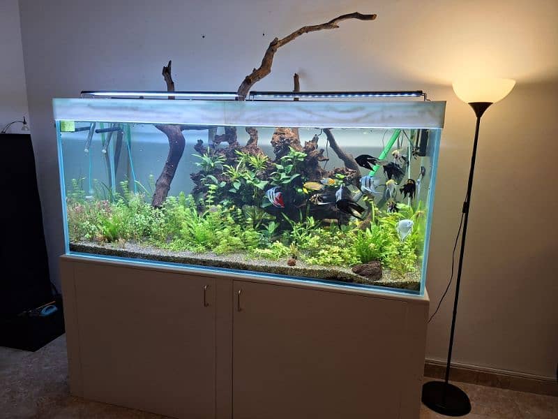 we making any size aquariums with full settings 3