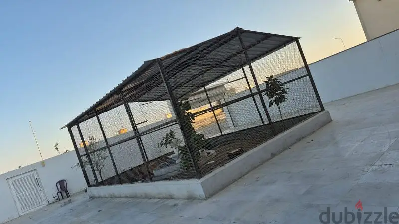 للبيع قفص65568610884099121