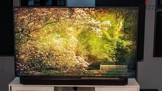 • Experience Art & Luxury – Samsung The Frame 65”